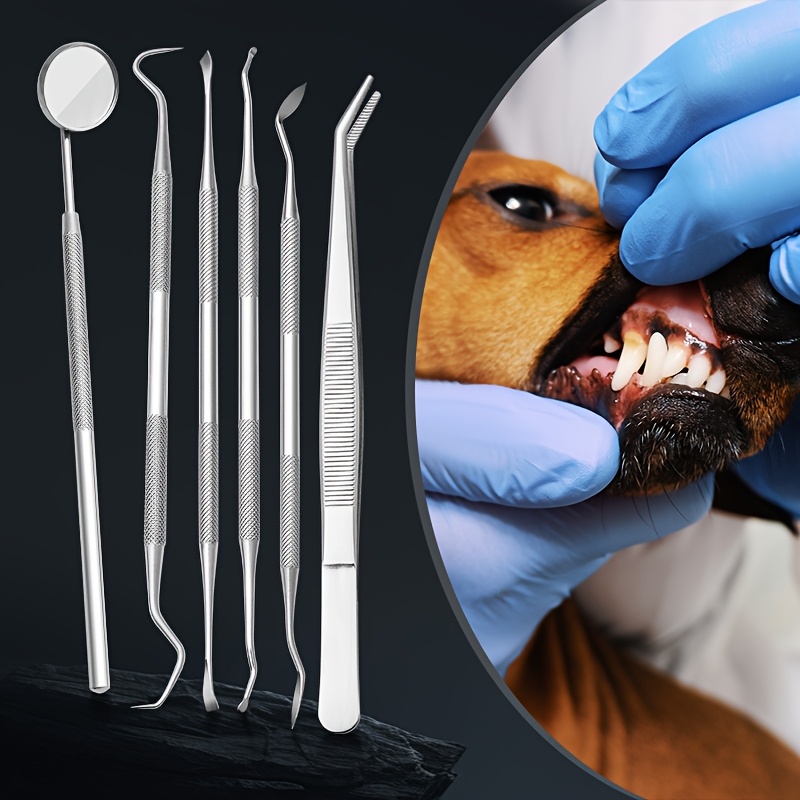 Köpekler ve Kediler için 6 Ade - Teeth Whitening Mouthwash incelemesi ve fiyatı