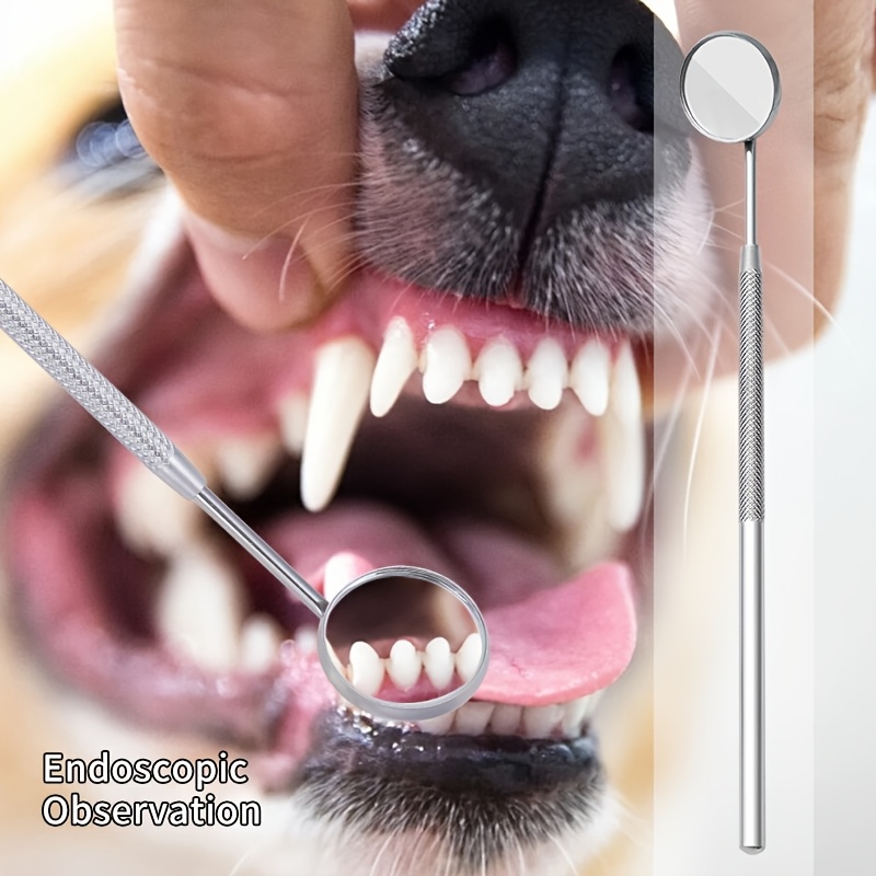 Köpekler ve Kediler için 6 Ade - Teeth Whitening Mouthwash incelemesi ve fiyatı